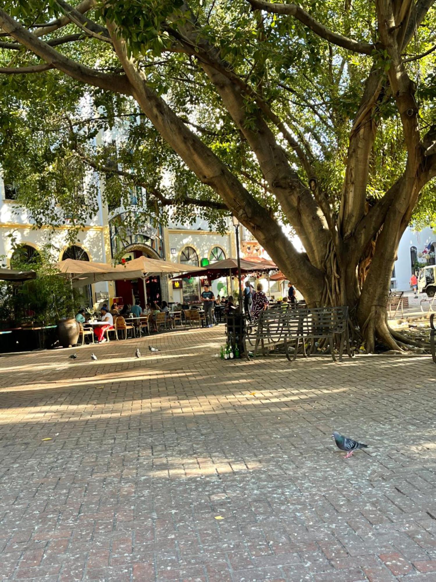 Studio 27 Colonial, Centro Historico Santo Domingo Bagian luar foto